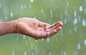 Дождевая вода