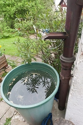 Дождевая вода в саду