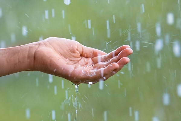 Дождевая вода