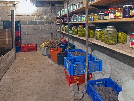Хранение овощей в подвале